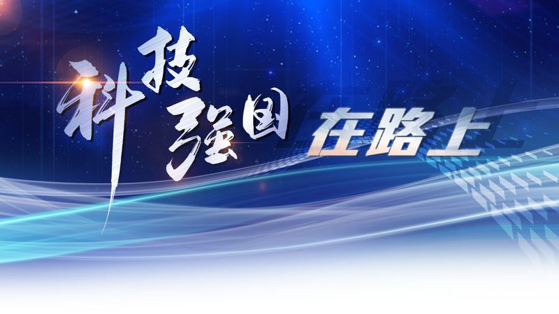 限流方案的技术选型与决策逻辑