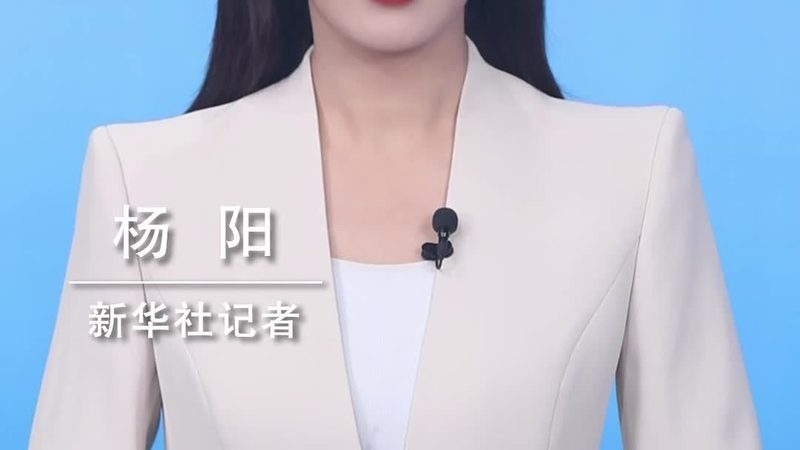 2025年数据可视化工具：选择之道与趋势洞察